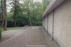 borstelen met shovel