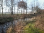 Grof boomrooi en snoeiwerk